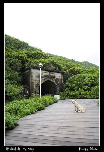 看守隧道的狗?