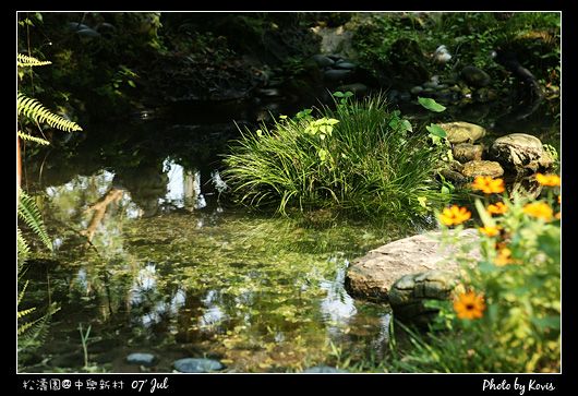 院子裡的小池塘