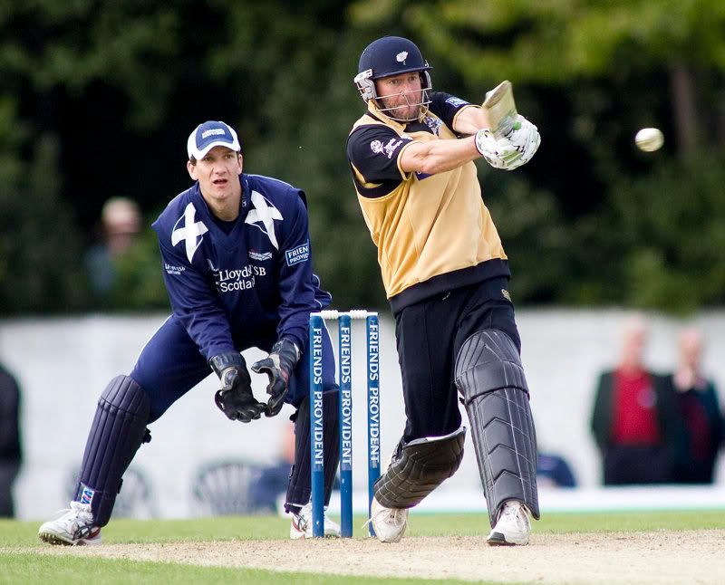 IMAGE: http://img.photobucket.com/albums/v280/paperpics/Cricket_Scot_York_AW31.jpg
