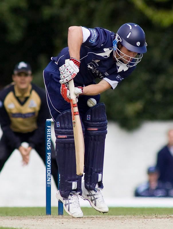 IMAGE: http://img.photobucket.com/albums/v280/paperpics/Cricket_Scot_York_AW42.jpg