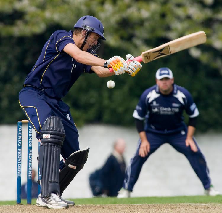 IMAGE: http://img.photobucket.com/albums/v280/paperpics/pics2/_A0H8173.jpg