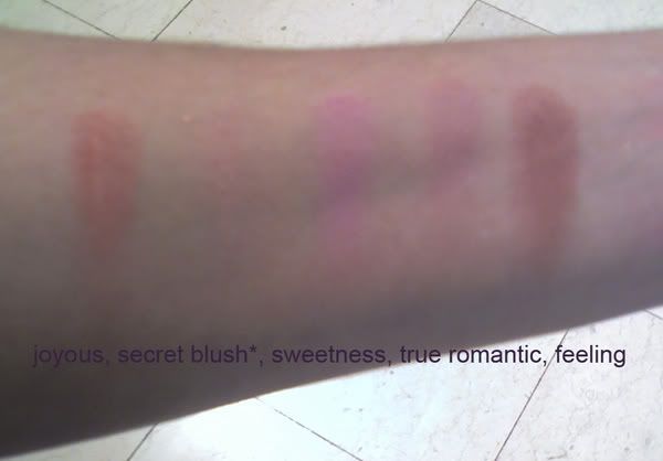 beautypowderblushes.jpg
