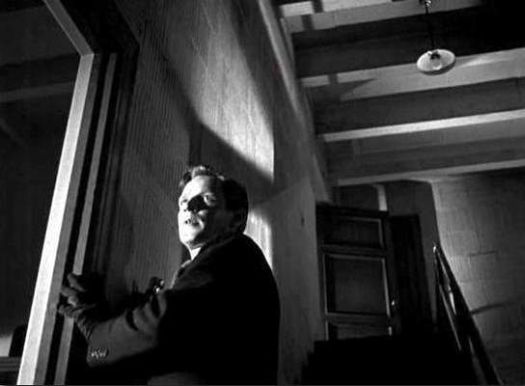 A. L. Werker - He Walked by Night (1948)