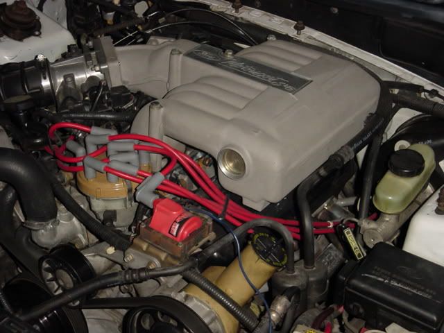 Picture042.jpg