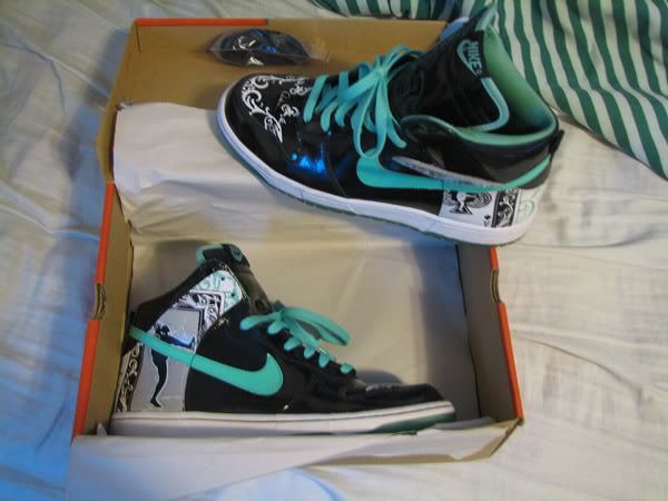 dontrelle willis nike dunks