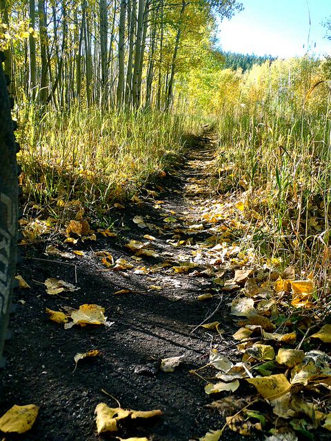 Unknown trail near Boulder, CO.