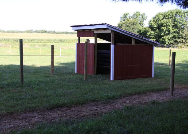 Goat-Shed-2.jpg