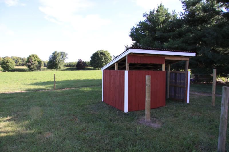 Goat-Shed.jpg