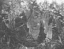 Fairies and Their Sun-Bath, the fifth and last photograph of the Cottingley Fairies