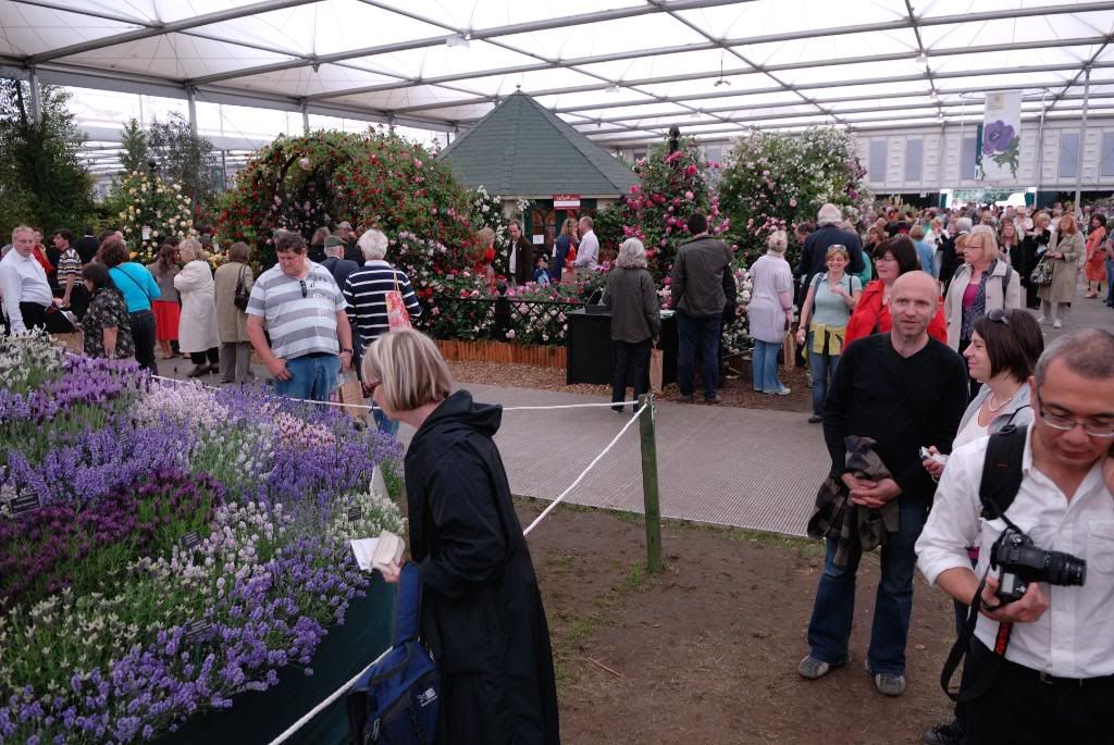 Chelsea Flower Show