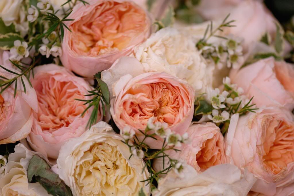 Chelsea Flower Show - Austin, posy