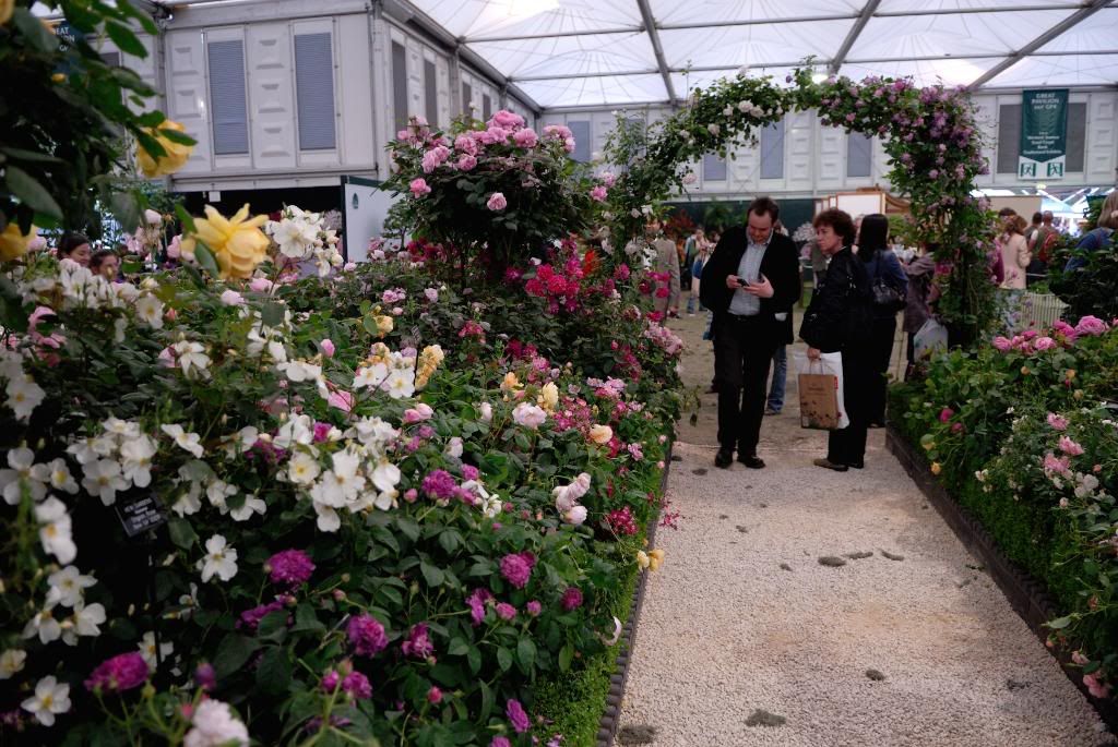 Chelsea Flower Show - Austin, walkway