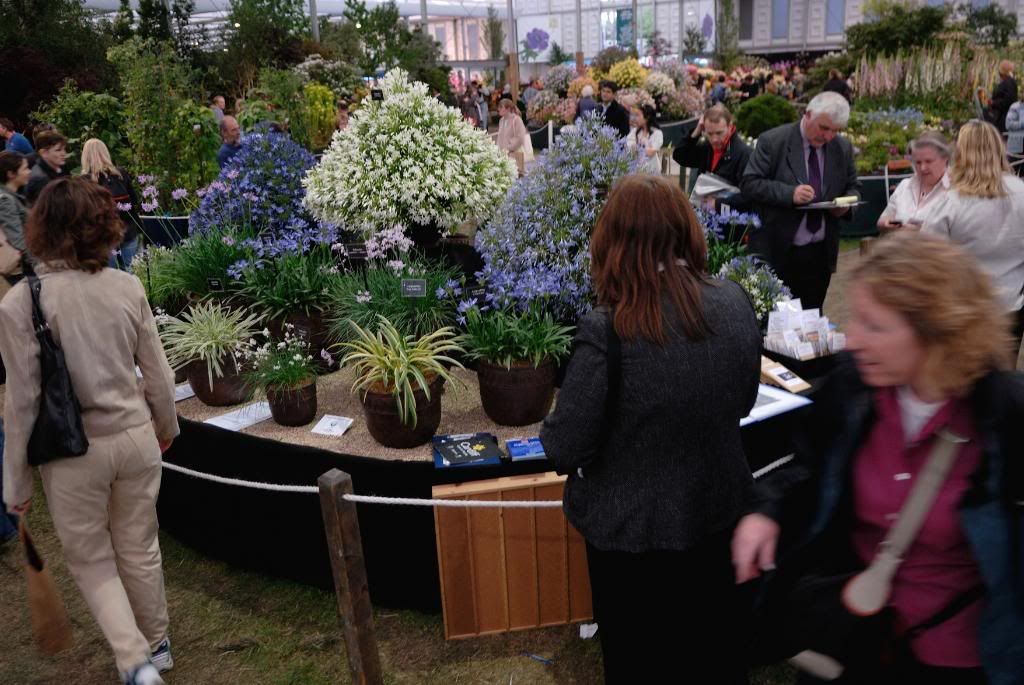Chelsea Flower Show, roundabout