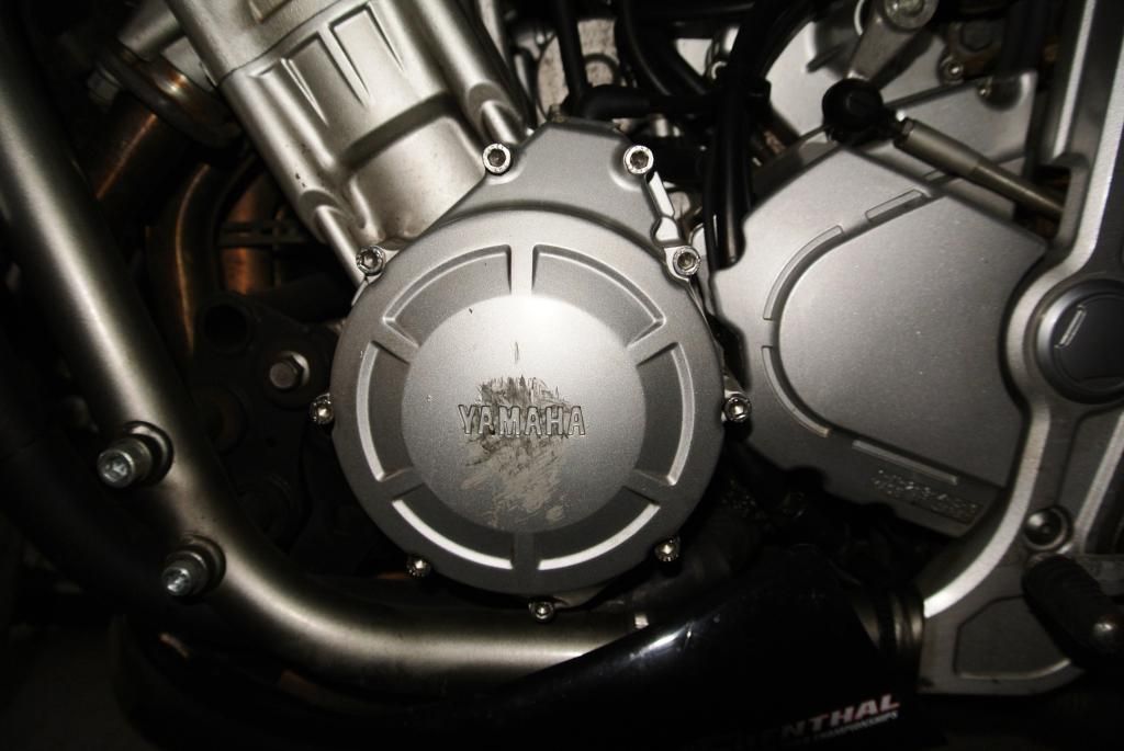 [Image: DSC_0767_zps2c54df85.jpg]