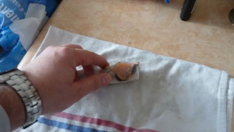 P1020186.jpg