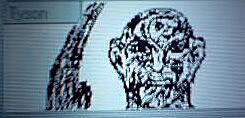 [Image: freddy.jpg]