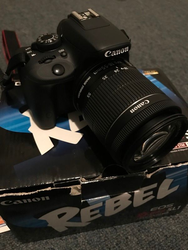 IMAGE: http://img.photobucket.com/albums/v282/memo90061/IMG_4856_zpslenyuxwi.jpg