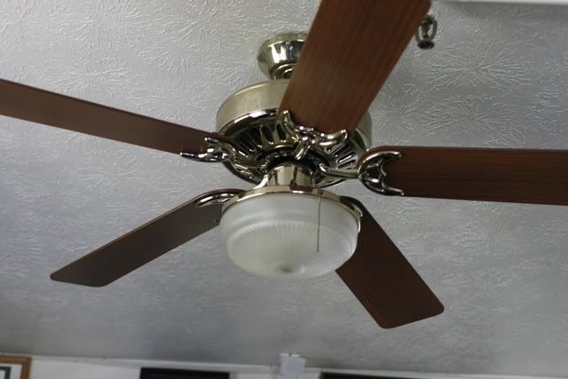 IMAGE: http://img.photobucket.com/albums/v283/AXFREAK/misc/_MG_0203.jpg