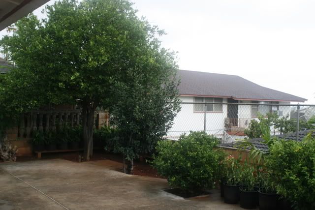 IMAGE: http://img.photobucket.com/albums/v283/AXFREAK/misc/_MG_0657.jpg