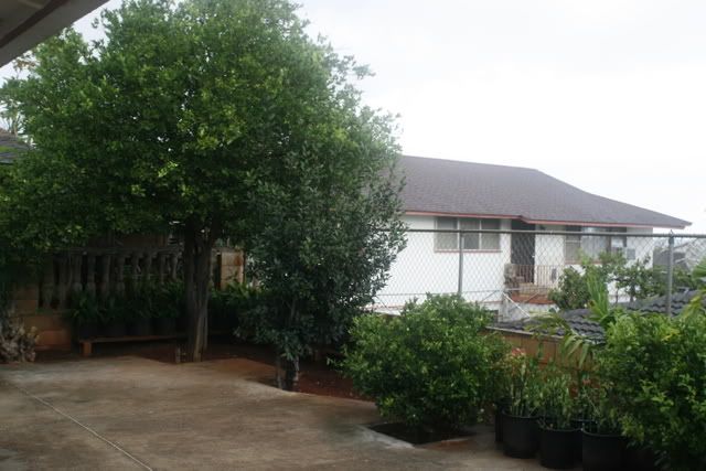 IMAGE: http://img.photobucket.com/albums/v283/AXFREAK/misc/_MG_0659.jpg