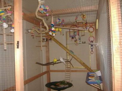 aviarypics001.jpg