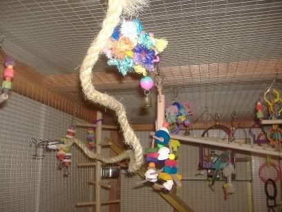 aviarypics005.jpg