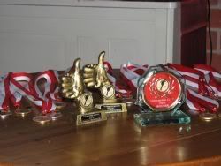 Seizoensranglijst (2008-2009)