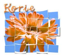 Image hosting by Photobucket