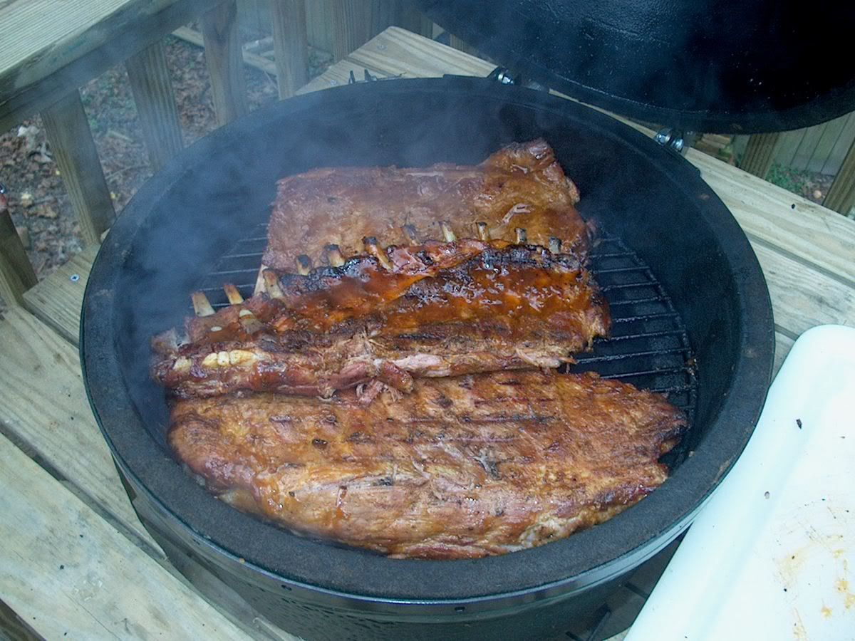 Ribs9Oct3.jpg