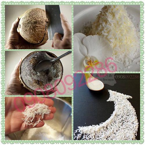 Yến Mạch 100% ORGANIC, Hạt Lanh, Quinoa, Mật ong, Dầu dừa, Dầu hạt nho và  Dầu Oliu❣ - 2