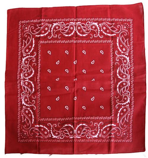 bandana photo: Paisley Bandana Red-paisley-bandana.jpg