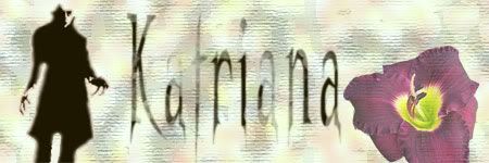 Imagen enviada