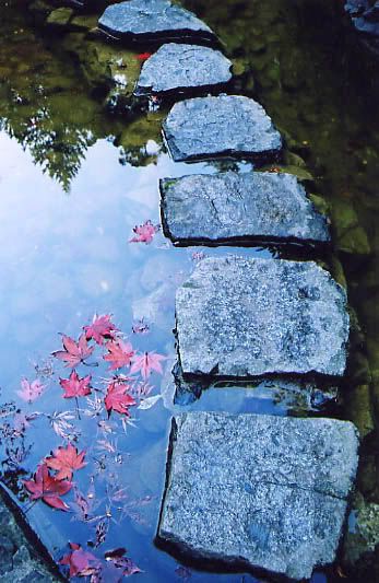 maple leaves &amp; stepping stones Pictures, Images and Photos