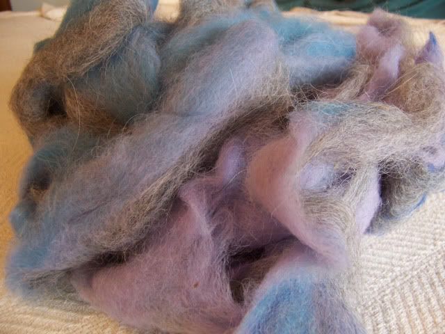 alpaca/llama roving