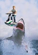 4jaws