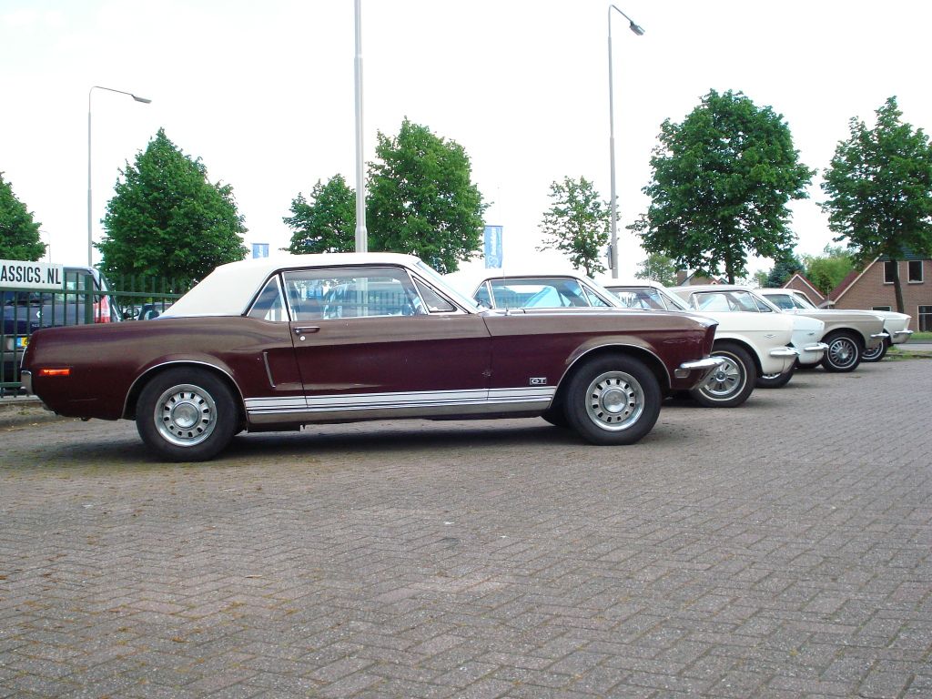 Mustang4.jpg
