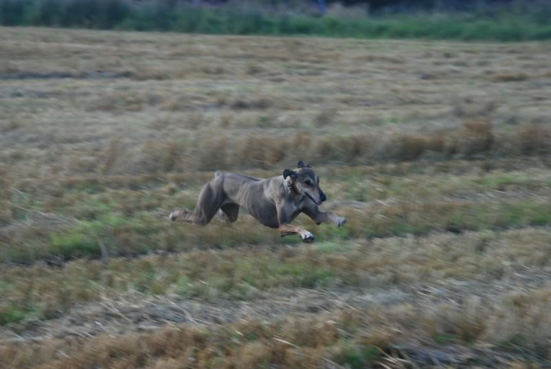 DSC_0044.jpg