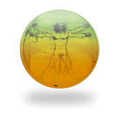 Image hosting by Photobucket