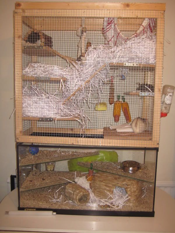 rotastak rat cage