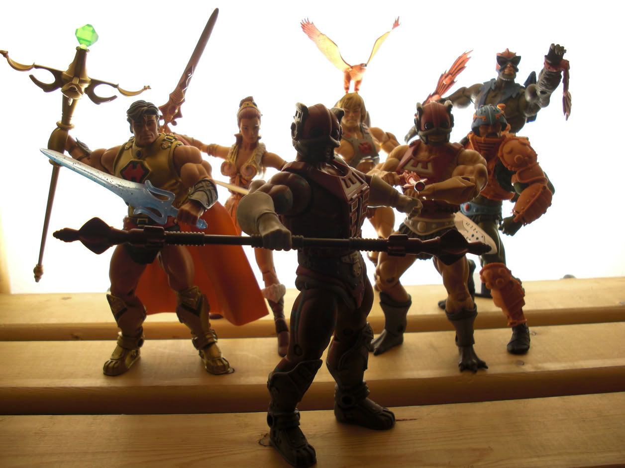 motuc collection