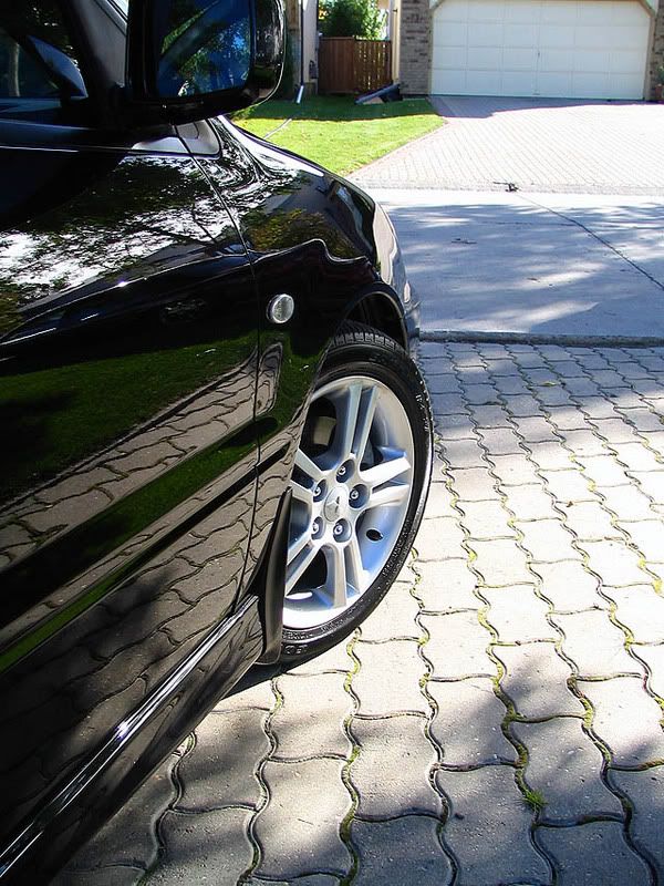 backinblack022.jpg
