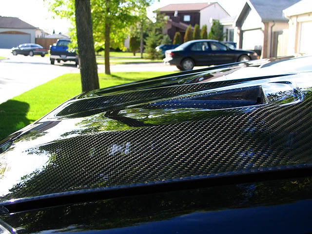 backinblack024.jpg