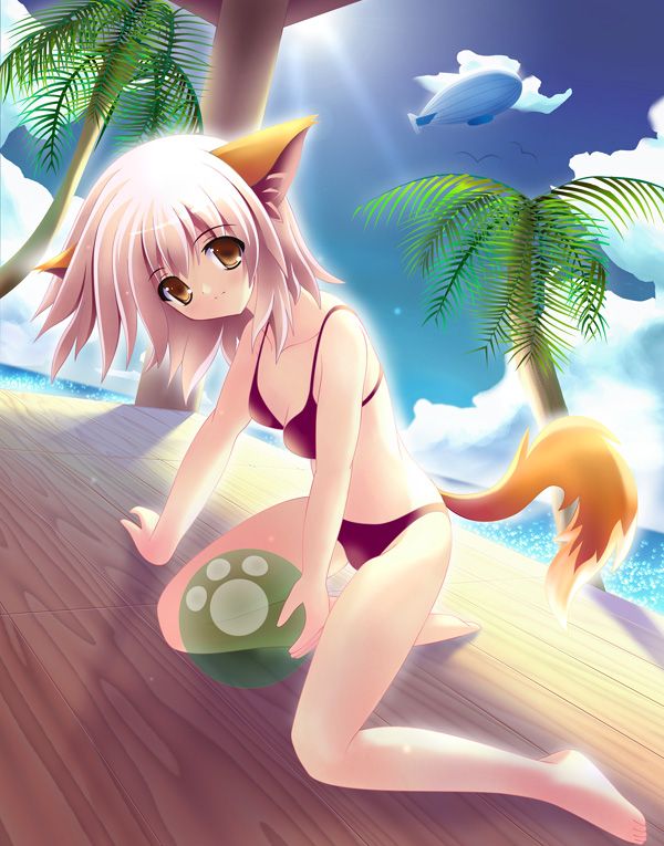 Ain't nothing better than kitty girls in bikinis! xD