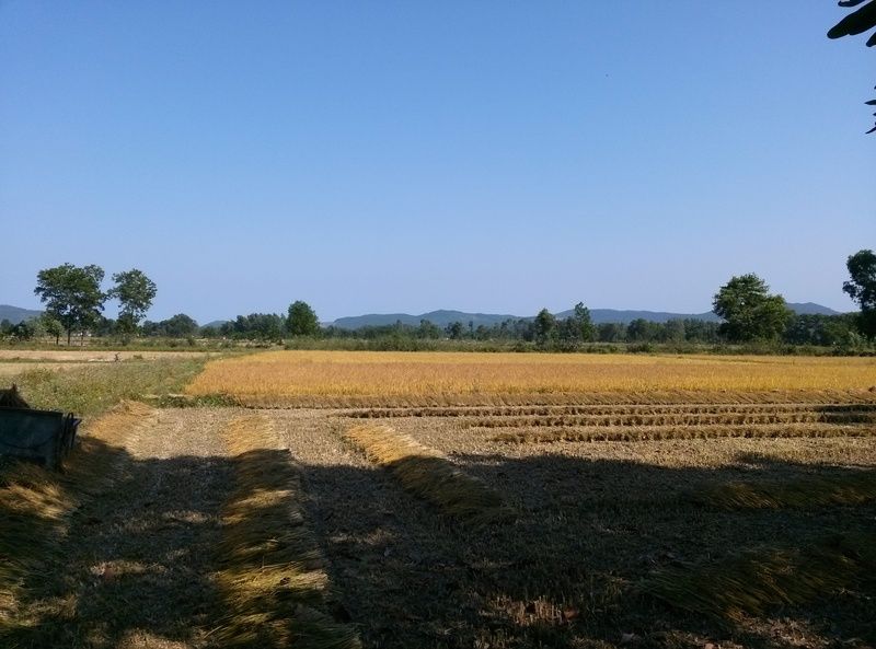 CAM00283_zpsszgvscn0.jpg