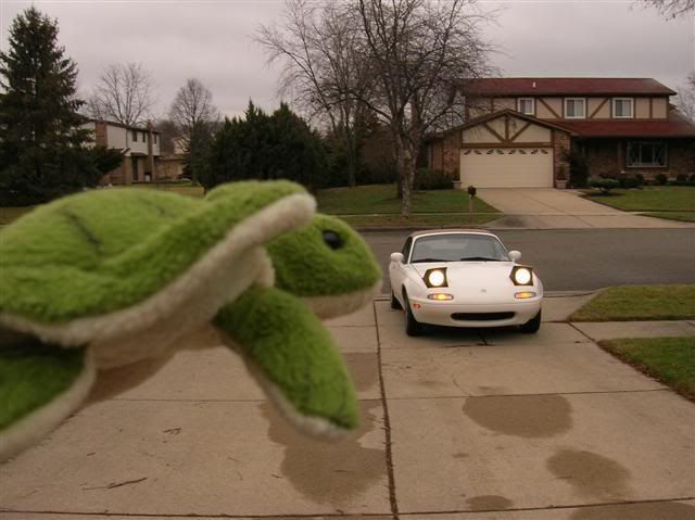 user posted image