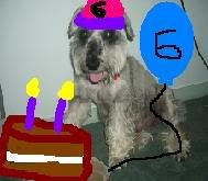 Image hosted by Photobucket.com