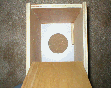 nestb2.gif