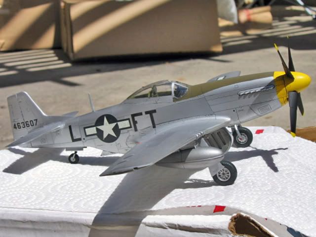 HaseP5111.jpg