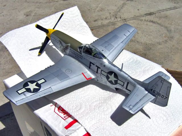 HaseP51117.jpg