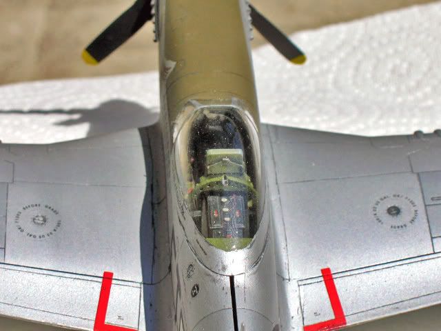 HaseP51118.jpg